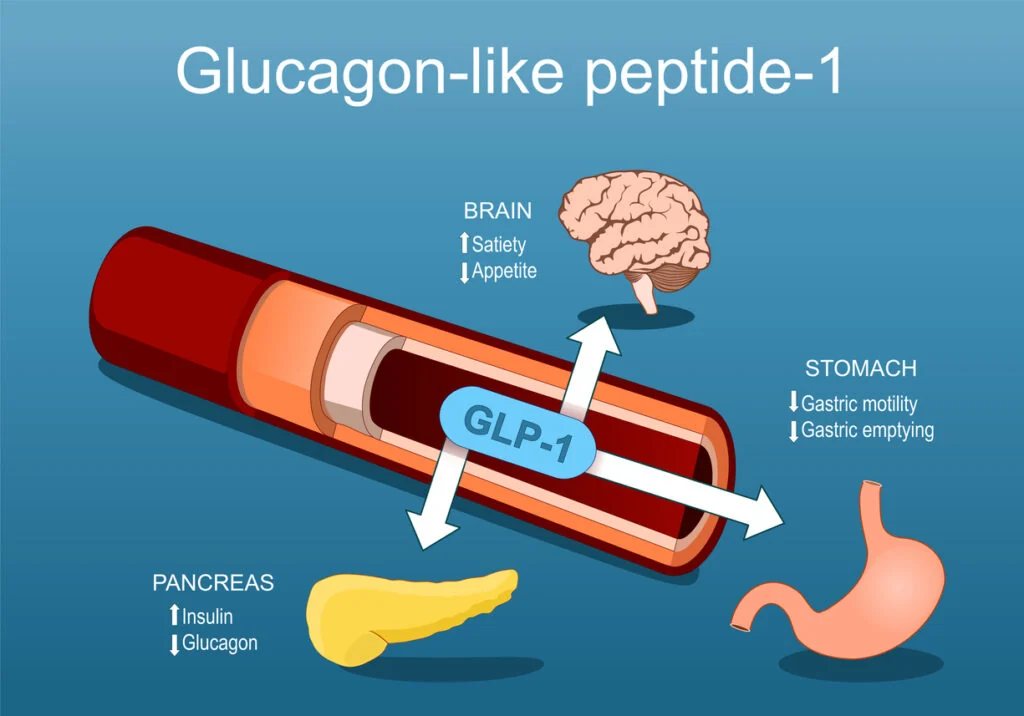 Agonistas do GLP-1 na literatura: semaglutide, tirzepatide, cagrilintide e retatrutide